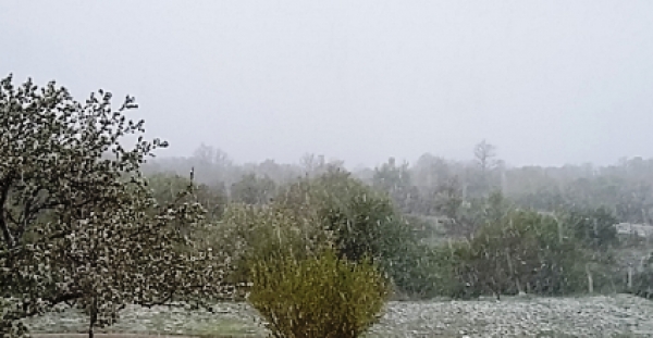 Blagdan svetog Marka evanđelista