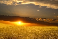 Smiraj (Uz blagdan Svih svetih i Du&scaron;ni dan)